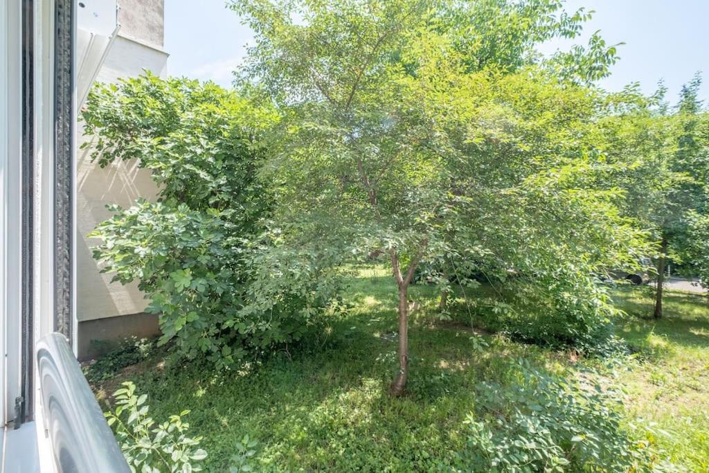 Top Location, Brand New 3 Bdrm Apt & Free Parking Sofia Buitenkant foto