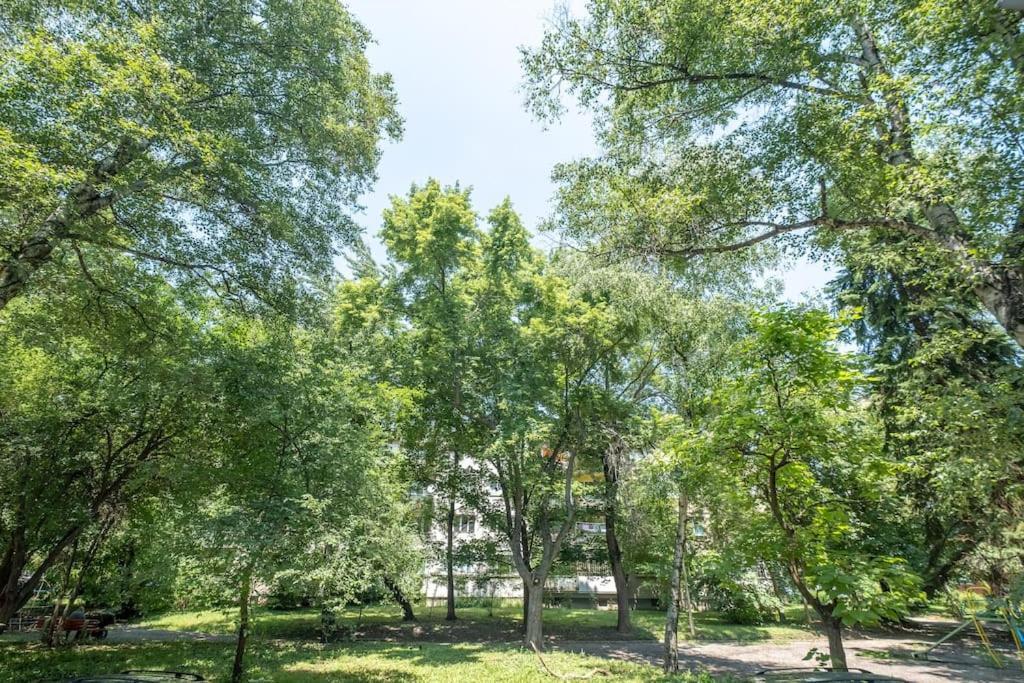 Top Location, Brand New 3 Bdrm Apt & Free Parking Sofia Buitenkant foto